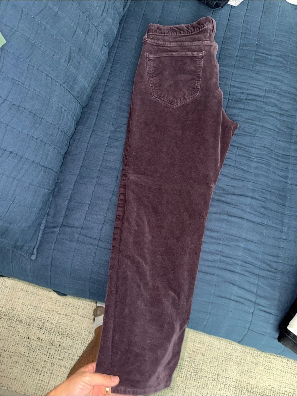Banana Republic Slim Corduroy Pants in Plum